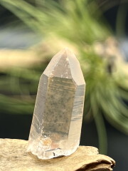 カブラル産ゴールデンレムリアンシード（ゴールド） GLM009