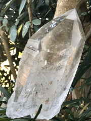 バイア産レムリアンシード （ファントム） LEM108