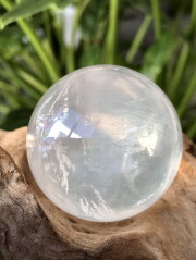 メタモルフォーシス・スフィア MFN051