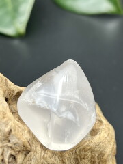 メタモルフォーシス・タンブル（グランドフォーメーション） MFT132