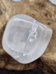 メタモルフォーシス・タンブル（グランドフォーメーション） MFT166