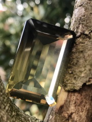 オーロヴェルデ・バイカラー・ファセット（メタモルフォーシス）（グランドフォーメーション） ORV007