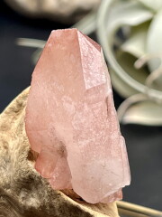 ディアマンティーナ産ディープピンクレムリアン PLM016