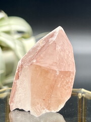 ディアマンティーナ産ディープピンクレムリアン PLM017