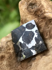 イギリス産パラサイト隕石・スラブ PLS001