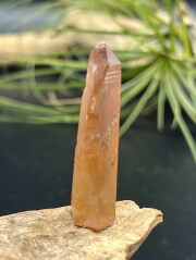 カブラル産ゴールデンレムリアンシード（レッド）（レーザー） RDL001