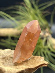 カブラル産ゴールデンレムリアンシード（レッド） RDL003