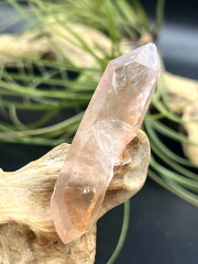 カブラル産ゴールデンレムリアンシード（レッド）（ダブルターミネイテッド） RDL005