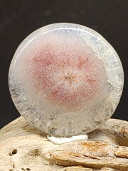 ソーラークォーツ・ルース RQC001