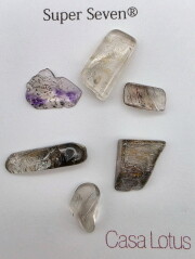 【Melody's collection】 スーパーセブン・3g チップパック（グランドフォーメーション） SS374