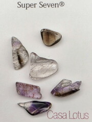 【Melody's collection】 スーパーセブン・3g チップパック（グランドフォーメーション） SS385