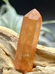 カブラル産ゴールデンレムリアンシード（タンジェリン） TLM007