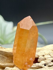 カブラル産ゴールデンレムリアンシード（タンジェリン） TLM008