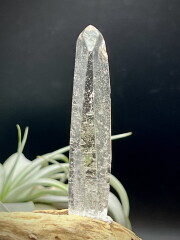 ゼコデソーザクォーツ（ゼカジソーザ・ゼッカクリスタル）たくさんのレコキ（5面）・原石 ZEC125