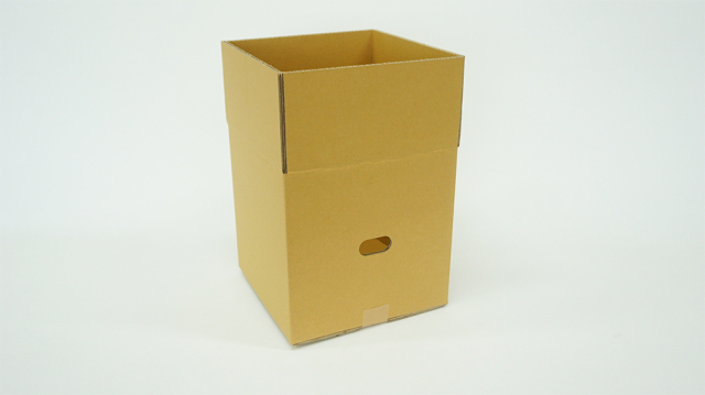 ダンボールカホン