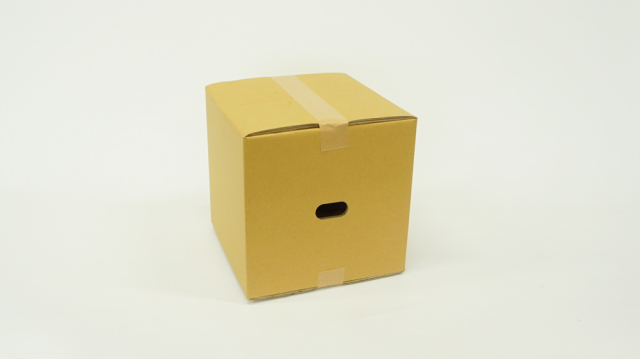 ダンボールカホン