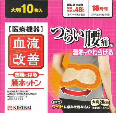 ★安いっ！！★血流改善　腰ホットン　１０枚入　720円【ケース販売/16個入】まとめ買いでお得っ！！ (228120101)　お取り寄せ商品