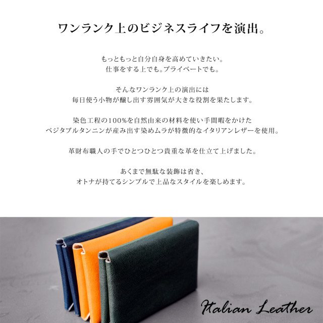 Dom Teporna Italy イタリアンレザー 本革 見開きタイプ 名刺入れ
