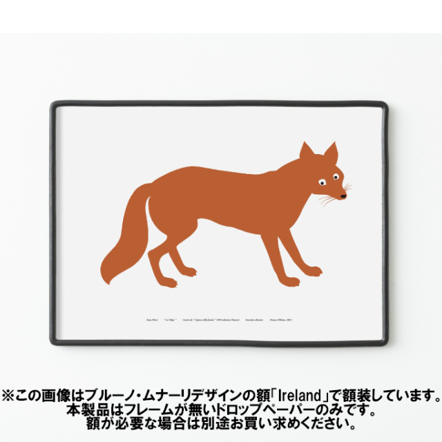 danese-lavolpe3.jpg?t=