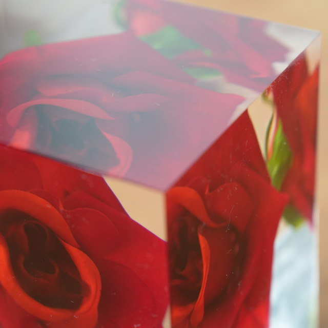 WAAZWIZ/ワーズウィズ】アクリルローズキューブ Acrylic Rose Cube