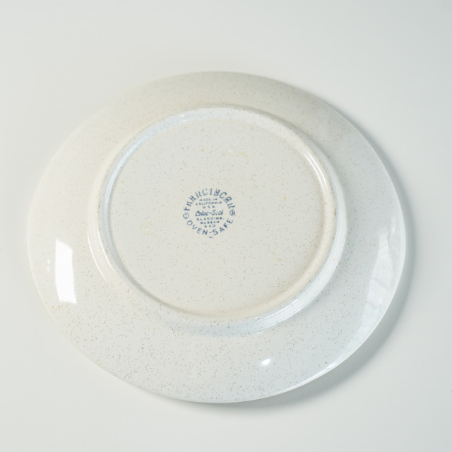 ビンテージ50's○FRANCISCANスターバースト パンプレート ビンテージ50