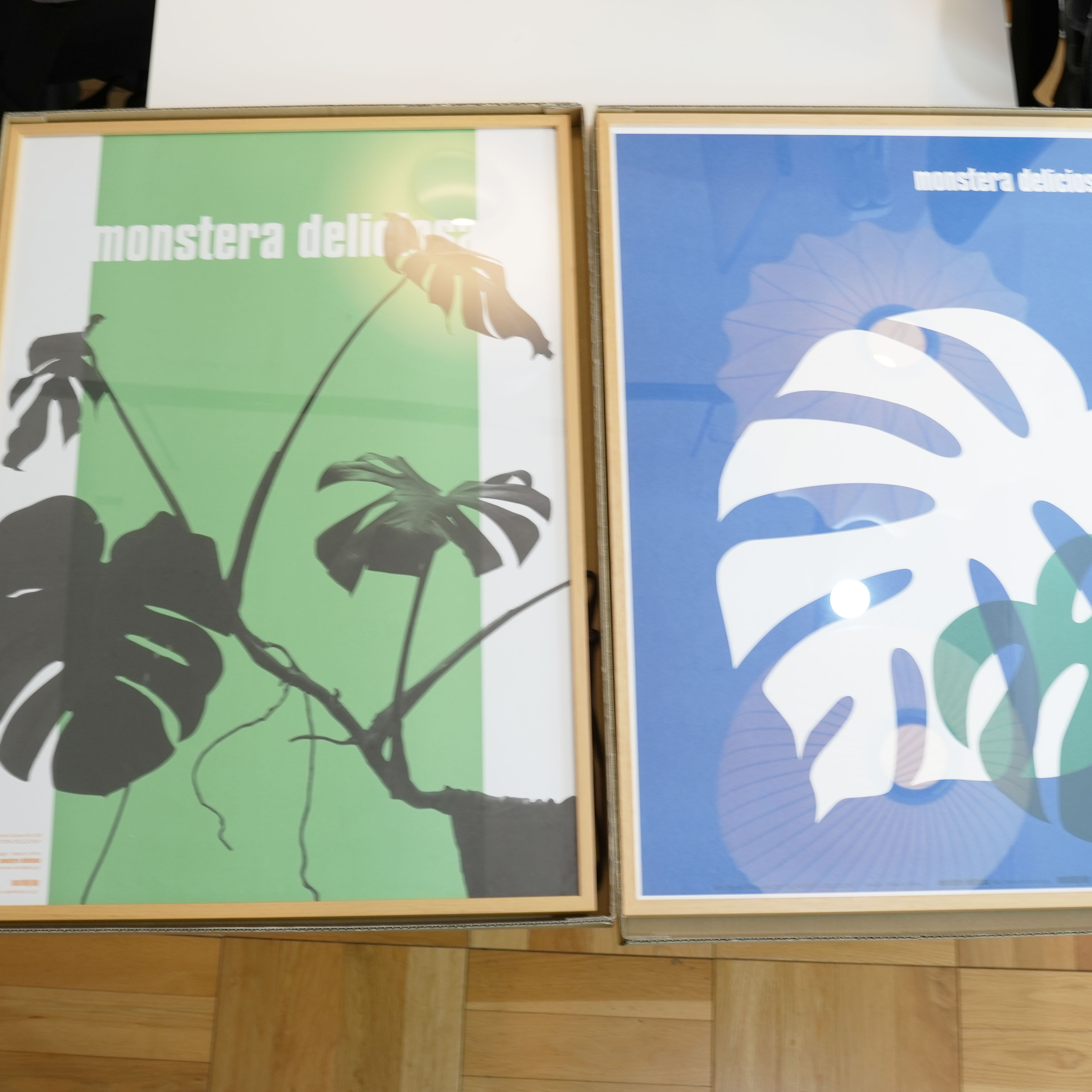 ウォールプランツ　ポスター&フレーム 展示品　サイズ違い