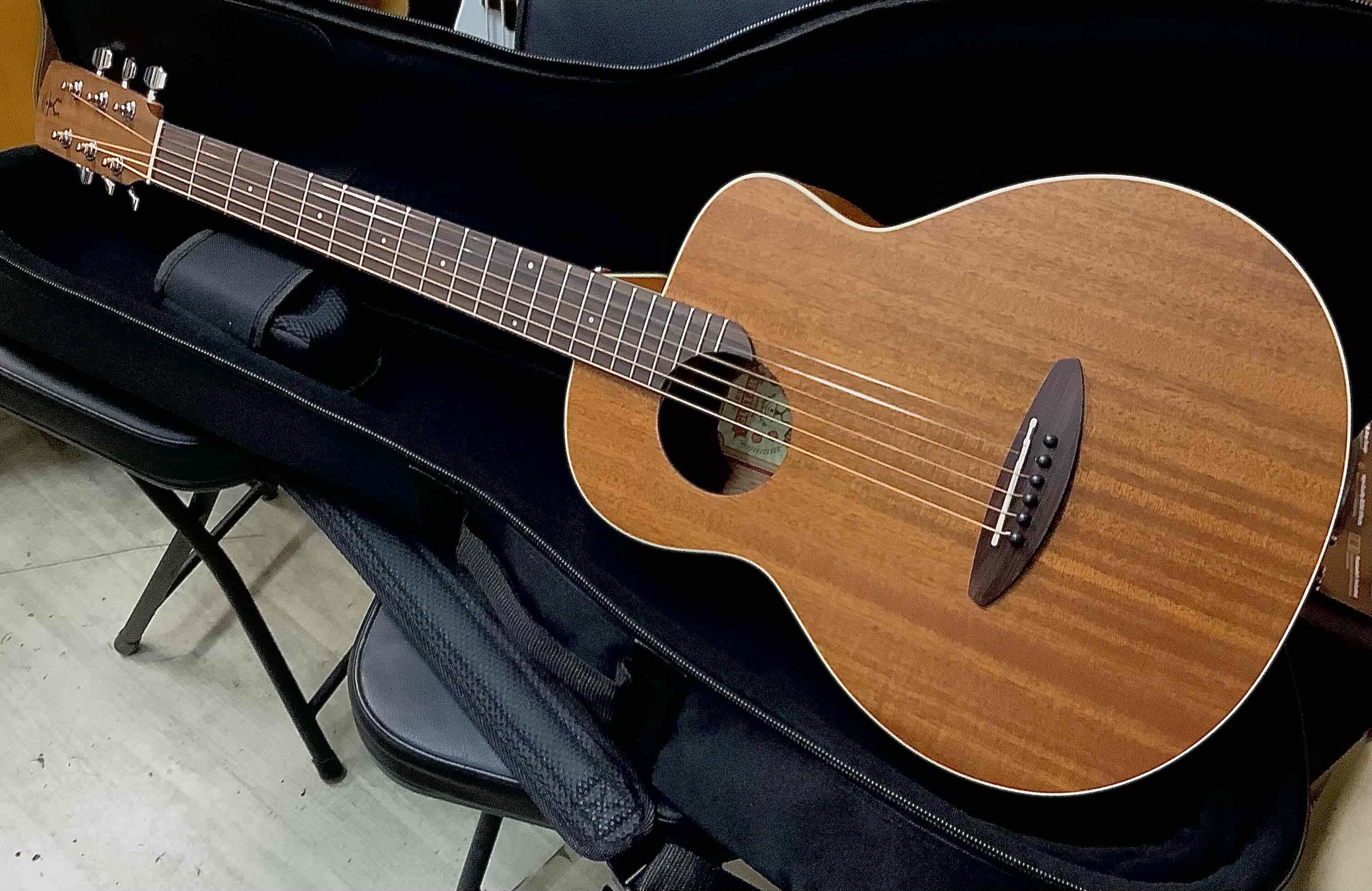 【お取り寄せ商品】aNueNue aNN-M2 アヌエヌエ M2  ミニギター マイク搭載