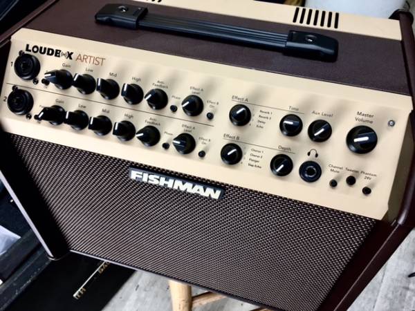 【お取り寄せ商品】FISHMAN Loudbox Artist Amp　LBXART 120W フィッシュマン　アコギアンプ　ラウドボックス アーティスト　アコースティックアンプ　