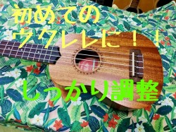 KALA カラ KA-15S ソプラノウクレレ SOPRANO UKULELE