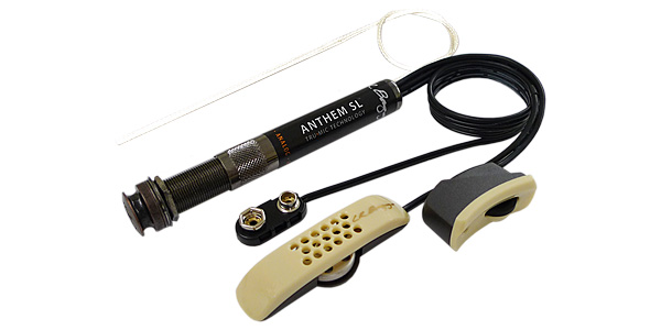 L.R Baggs Anthem SL搭載!　Morris W-28 L.R Baggs Anthem SL搭載! Morris W-28 【公式通販】