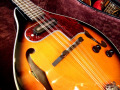 【お取り寄せ商品】Aria　AM-20E　ElectricMandolin ハードケース付き　【マイク搭載!!アンプに繋げるアリアマンドリン】