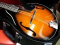 【お取り寄せ商品】ARIA Mandolin AM-20 マイク搭載 ハードケース付き　【　アンプに繋げる　マンドリン AM20 】