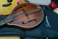 【お取り寄せ商品】Eastman MD-305 with PU アンプに繋げる マンドリン　イーストマン　MD305　mandolin