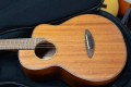 aNueNue aNN-M20 (All Mahogany)　アヌエヌエ M20 オールマホガニー　ミニギター マイク搭載