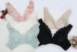 「[le miaou]キャッツ」 ＃０７７９Ｍ　ラウンド型ストレッチレース　ノンワイヤーブラ・ソフトブラ ５カラー