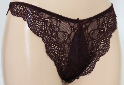 「[le miaou]キャッツ」 ＃５７７７　８インチストレッチレース タンガ ブラウン