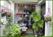 ノンワイヤーブラ ノンワイヤーブラジャー ソフトブラ 専門店 アンテナショップ キャッツ 2
