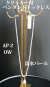 ap-2-1