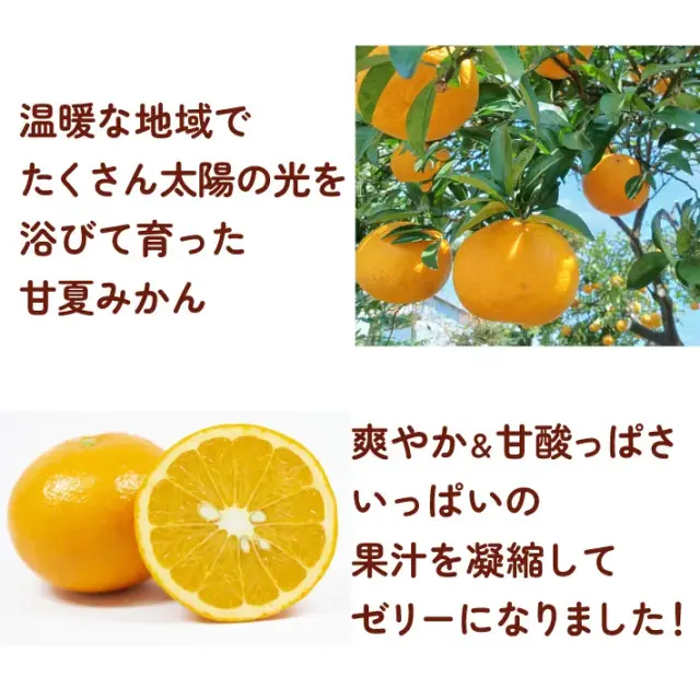 甘夏ゼリー　クローバー神戸