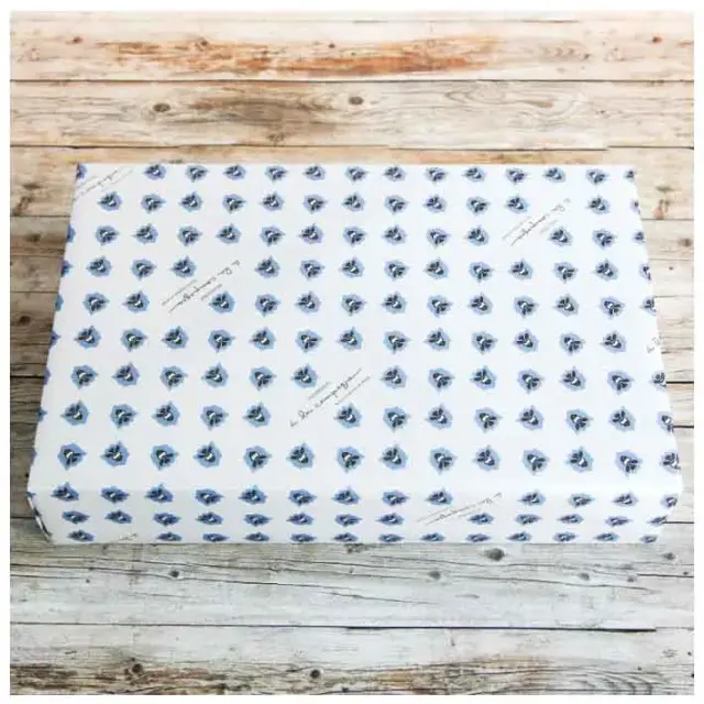 アラカンパーニュ共通画像包装