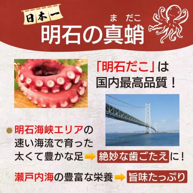 明石 ”初” ”発” たこカレー ２００ｇ