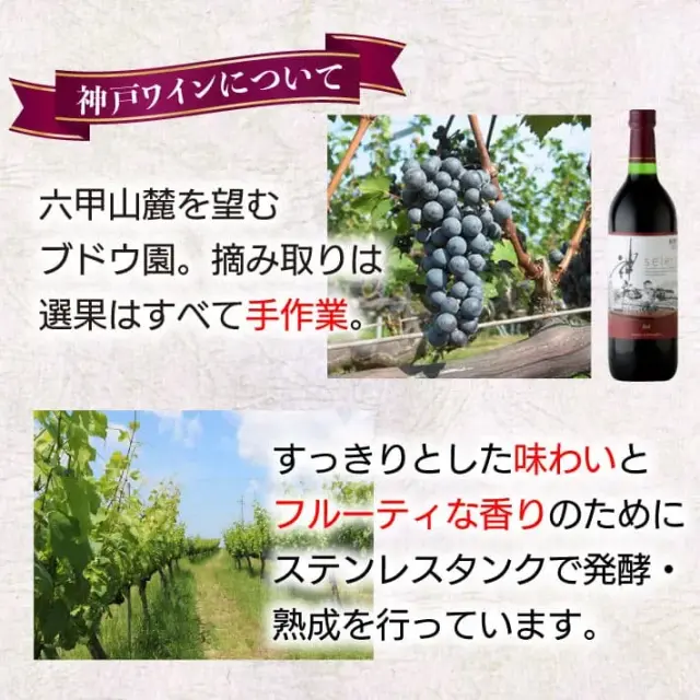 神戸ワインカレー (中辛) ２００ｇ