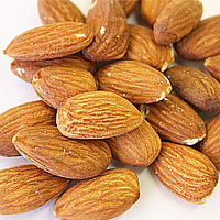 素焼きアーモンドホール 1kg