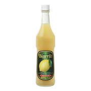 ビアリッツ レモン プロフェッショナル 700ml