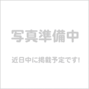 写真準備中