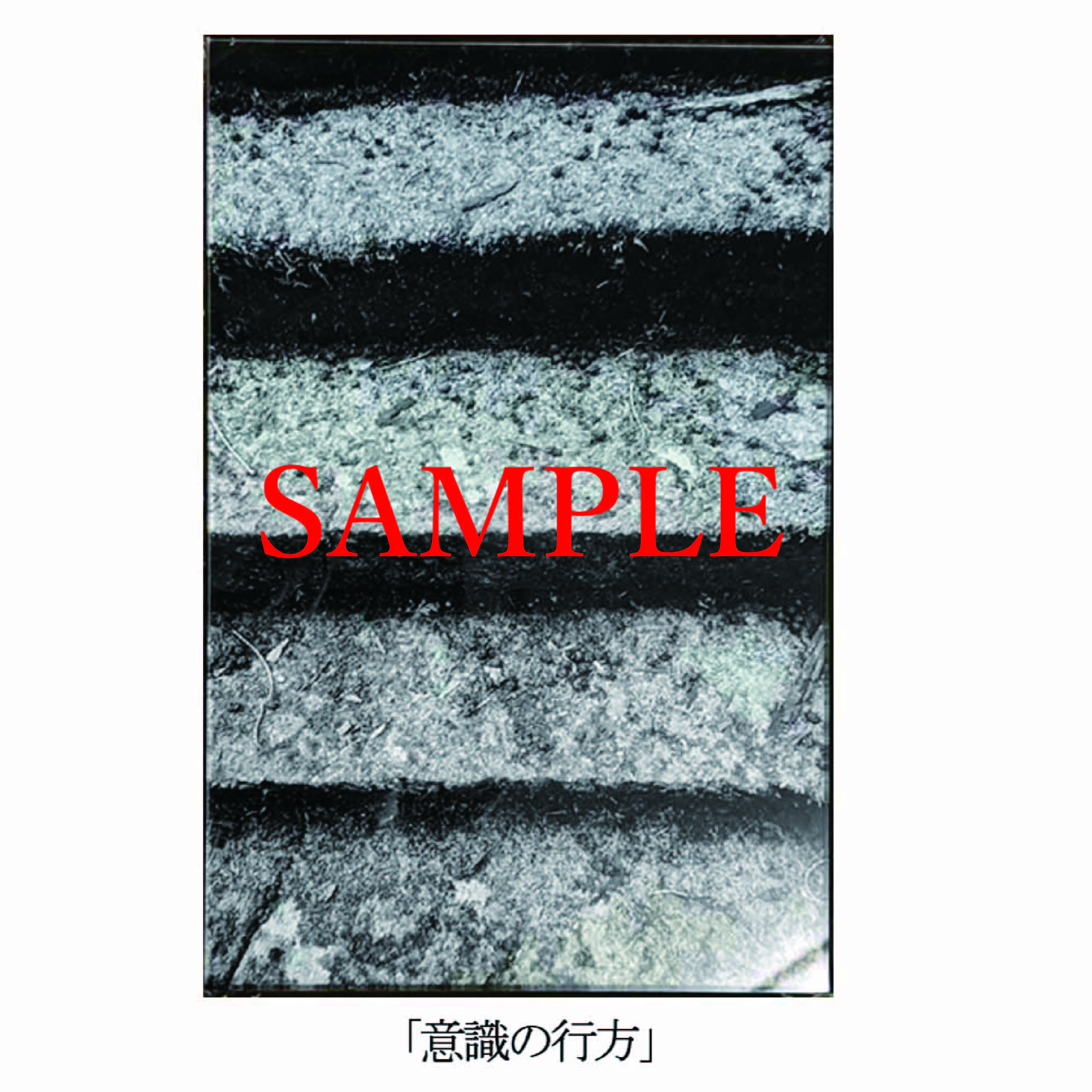 「意識の行方」【井坂健一郎作品　神社シリーズ】