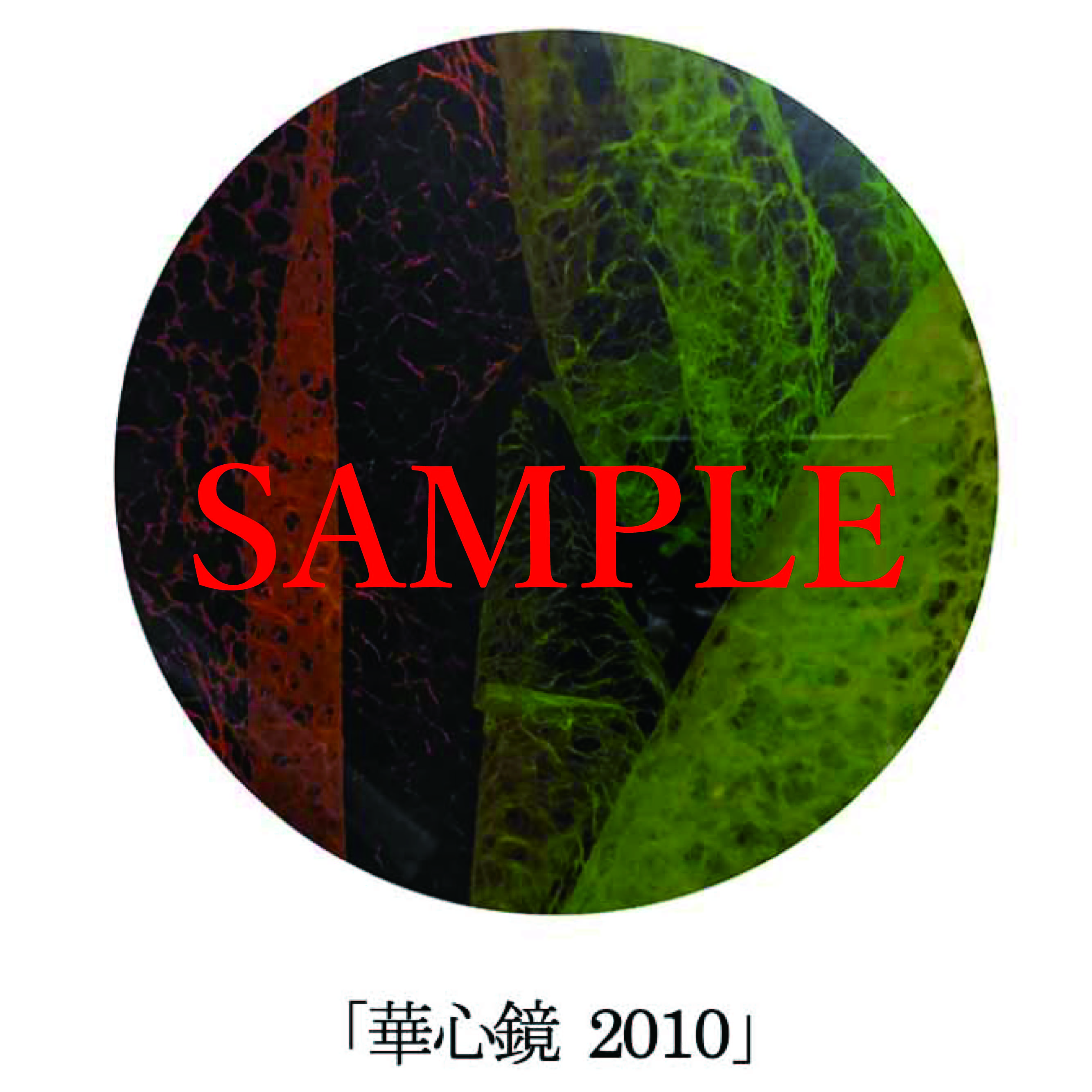 「華心鏡2010」【井坂健一郎作品華心鏡（かしんきょう）シリーズ】