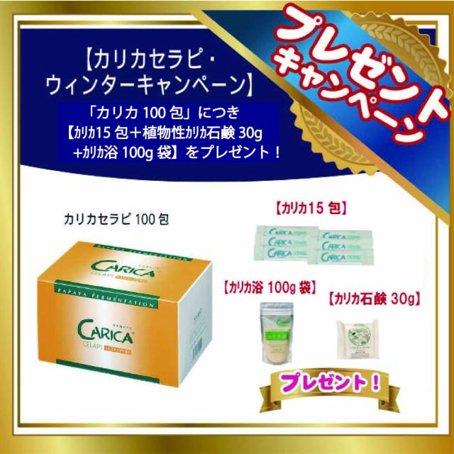 カリカセラピ PS501（3g×100包） 