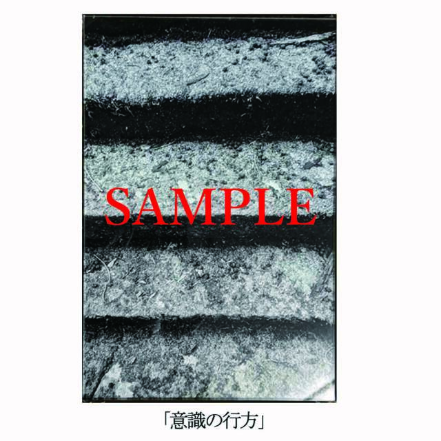 「意識の行方」【井坂健一郎作品　神社シリーズ】