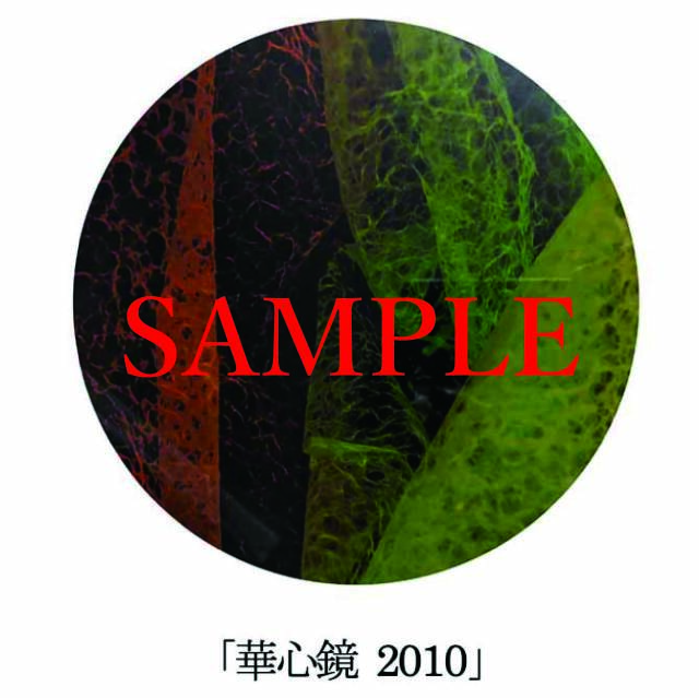 「華心鏡2010」【井坂健一郎作品華心鏡（かしんきょう）シリーズ】